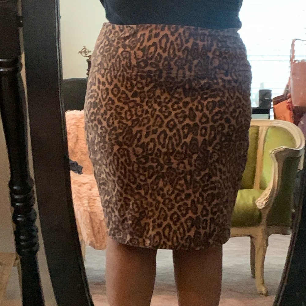 Cheetah Print Skirt